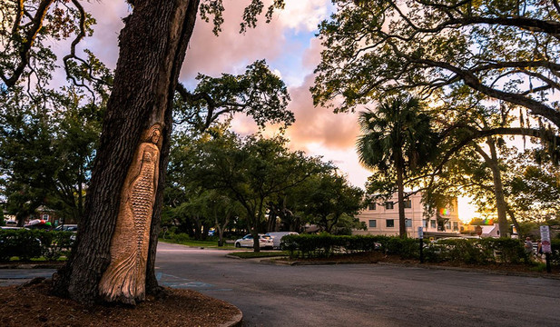 Tree Spirits of St. Simons Island-圣西蒙斯岛必去景点