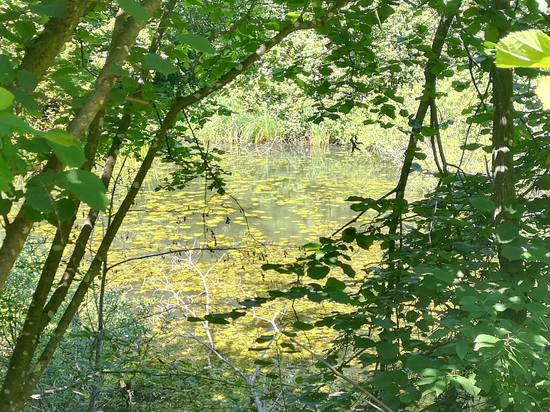 Kraiger Schlösser Wanderung-Sankt Veit an der Glan必去景点