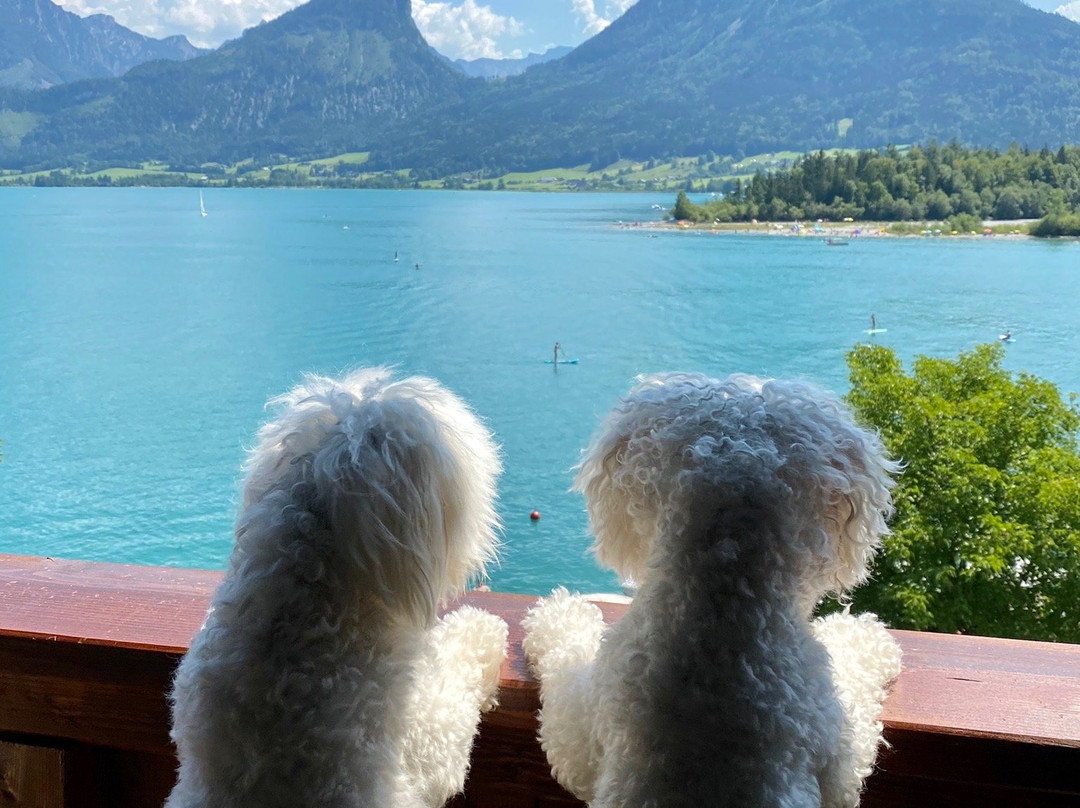 Hotel Margaretha主图