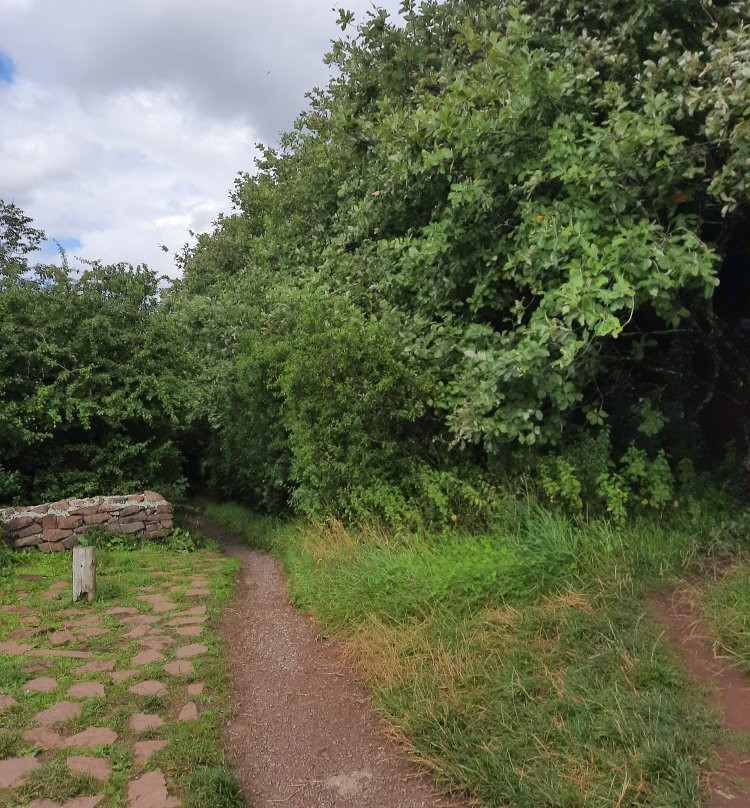 Lough Gur Visitor Centre-利默里克必去景点
