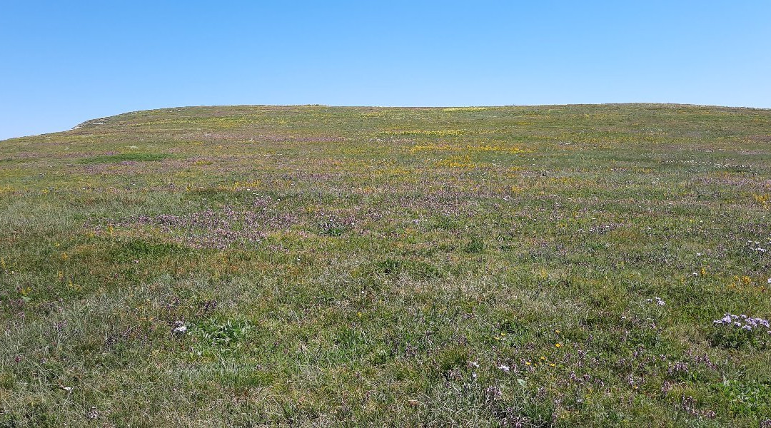 Mountain Demerdzhi-Alushta Municipality必去景点