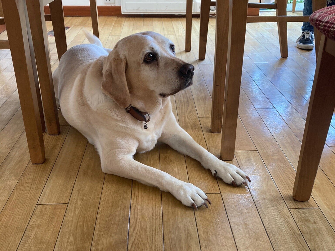 Steam Packet Inn主图