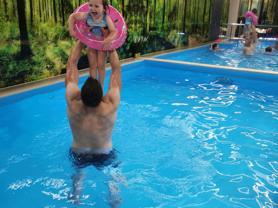 Srebrny Bucznik Wellness & Restaurant主图