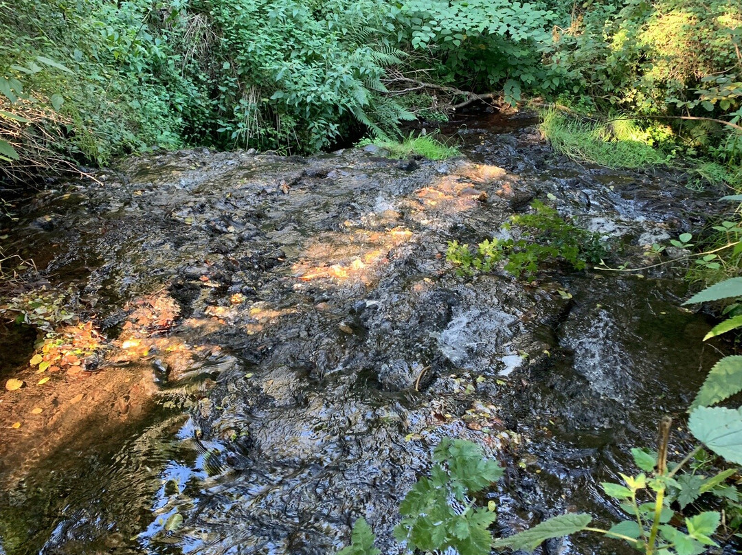 Cascade Des Saliens景点图片