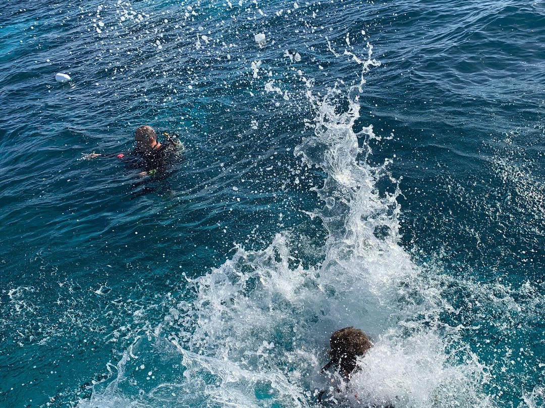 Top Dive, Bora Bora景点图片