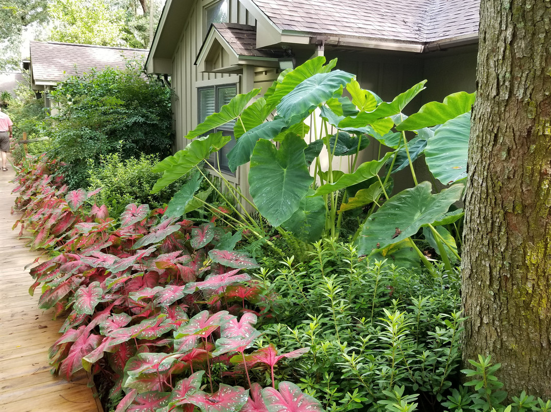 Bay Breeze Guest House主图