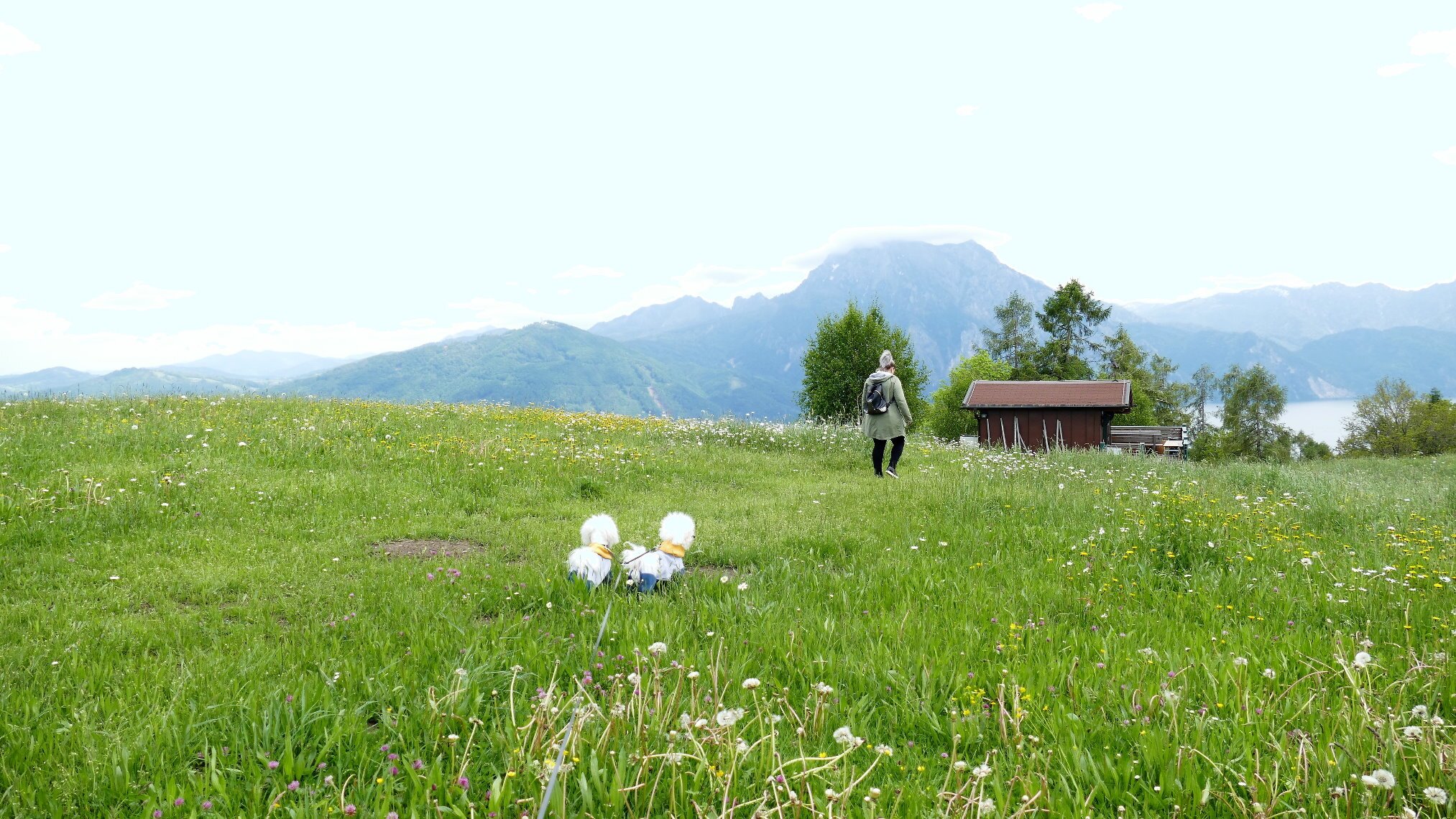 Berggasthof & Pension Urz'n-官方