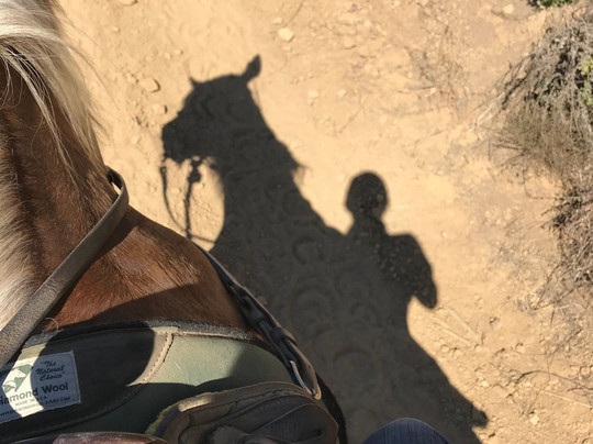 Circle Bar B Guest Ranch主图