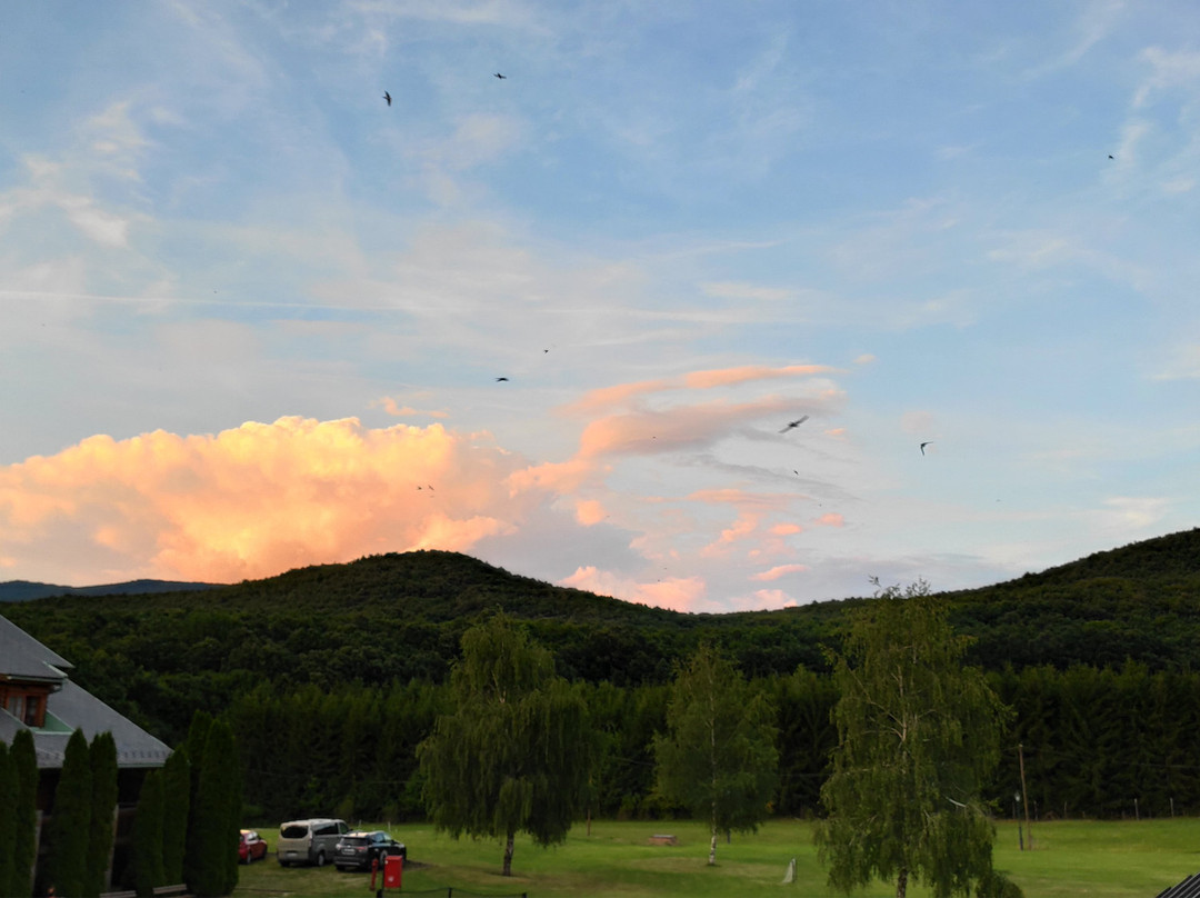 Szent Orban Erdei Hotel主图