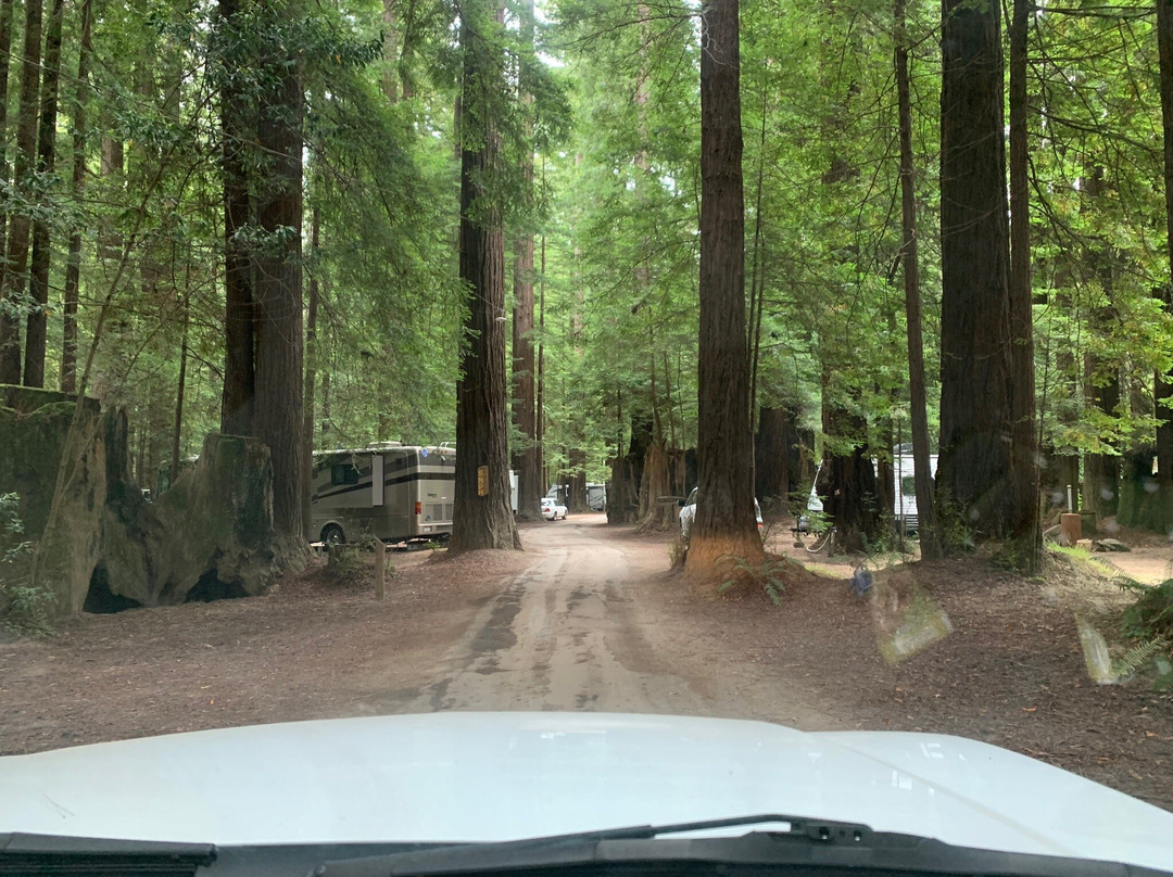 Gualala River Redwood Park景点图片
