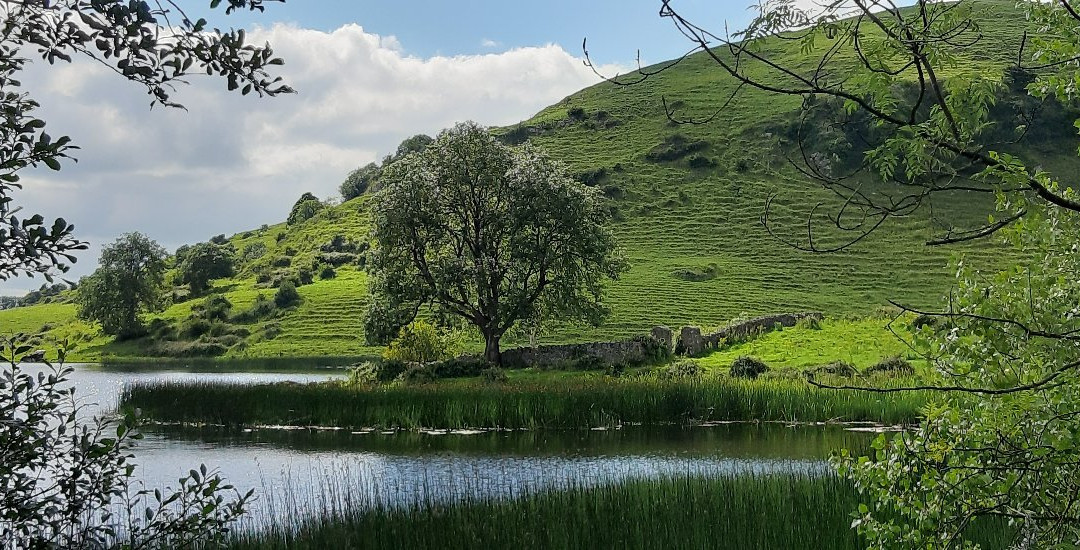Lough Gur Heritage Center-Bruff必去景点