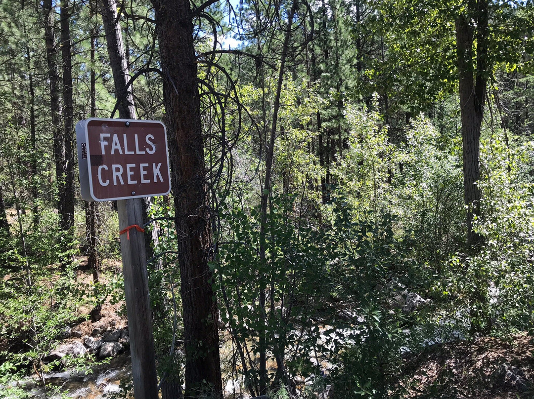 Falls Creek Falls Trail Head景点图片