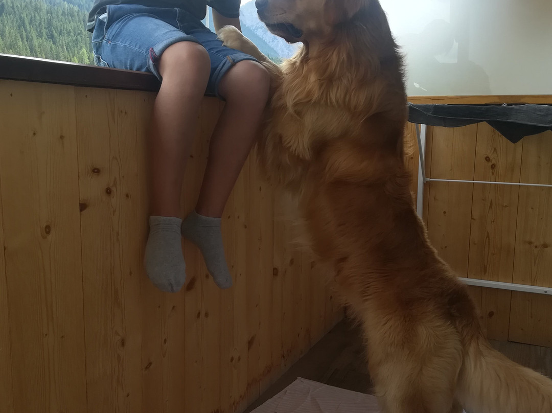 IL Nido