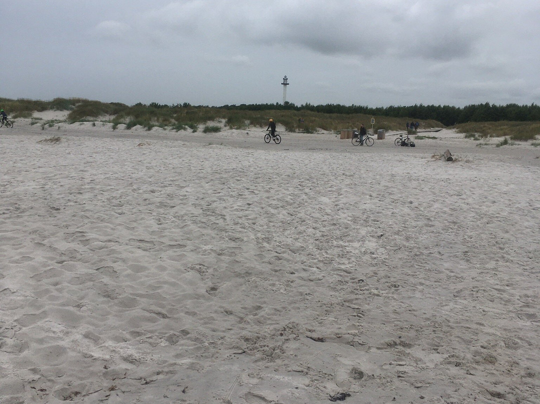 Strandmarken Dueodde-内克瑟必去景点