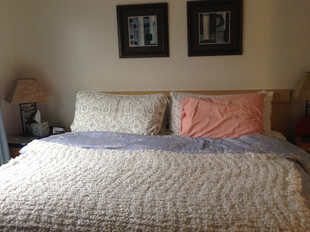 Elmwood Resort Hotel主图