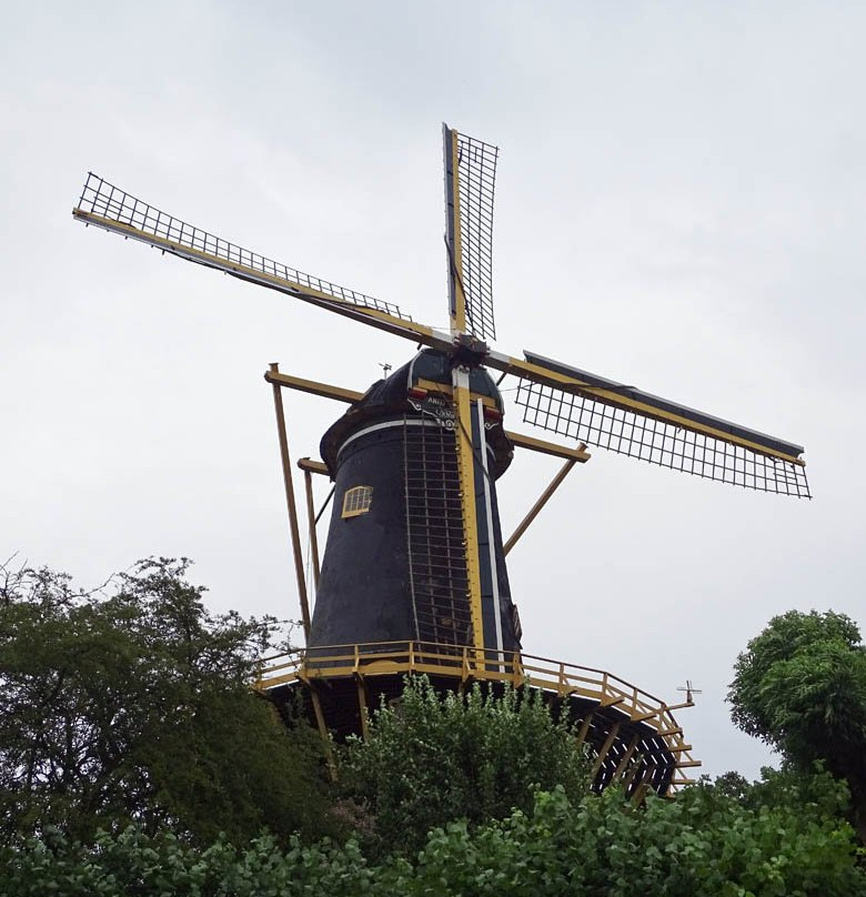 Molen de Windhond-Woerden必去景点