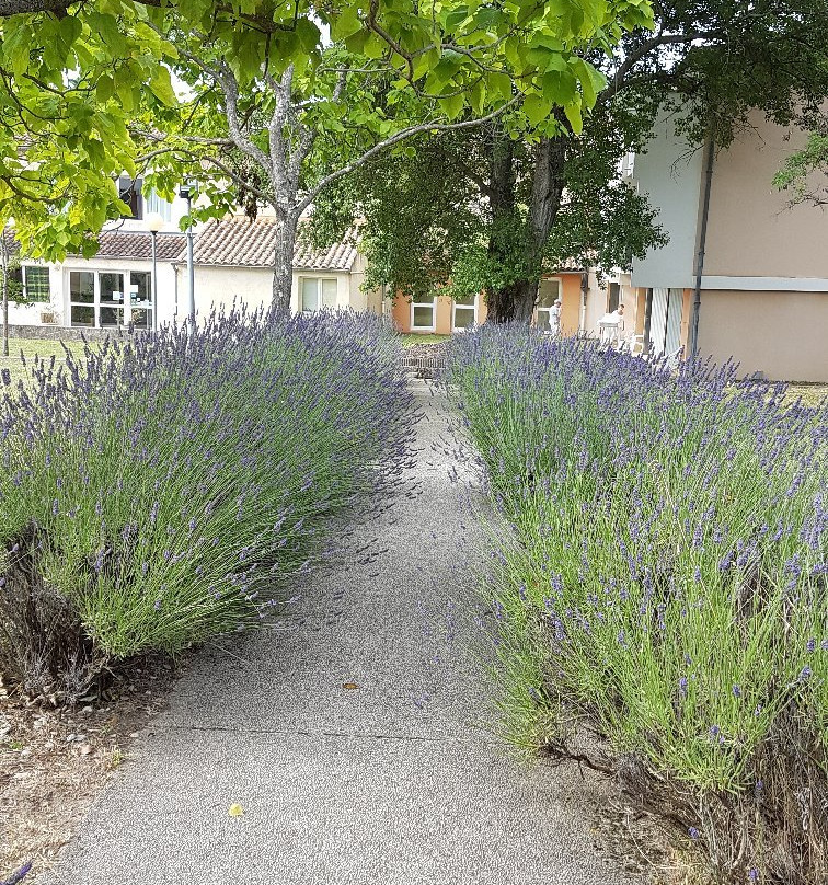 Village Vacances VTF Les Florans主图