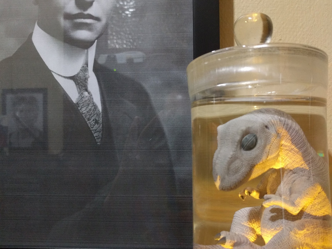 Dinosaur House-Raetihi必去景点