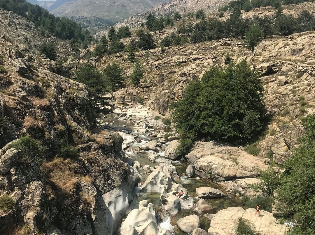 Lozzi旅游攻略图片