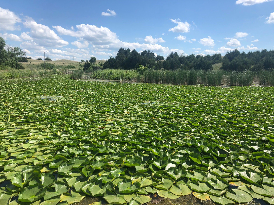 Calamus Reservoir State Recreation Area-Burwell必去景点