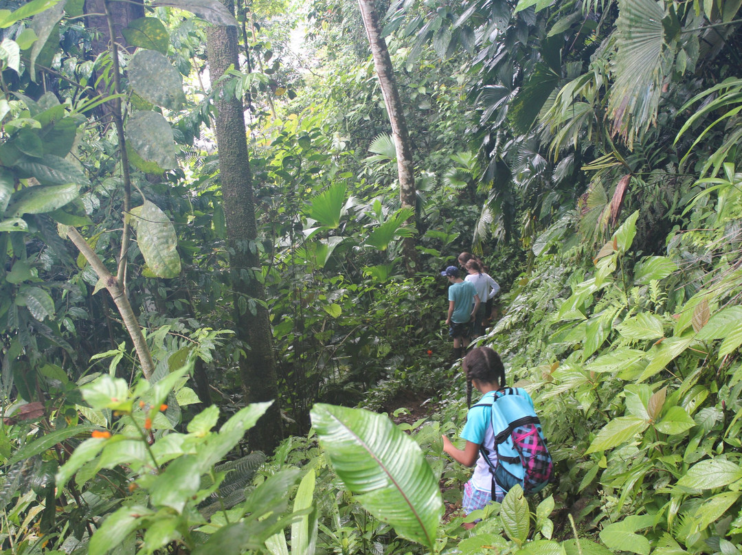 Stibrawpa Indigenous Tourism-Yorkin必去景点