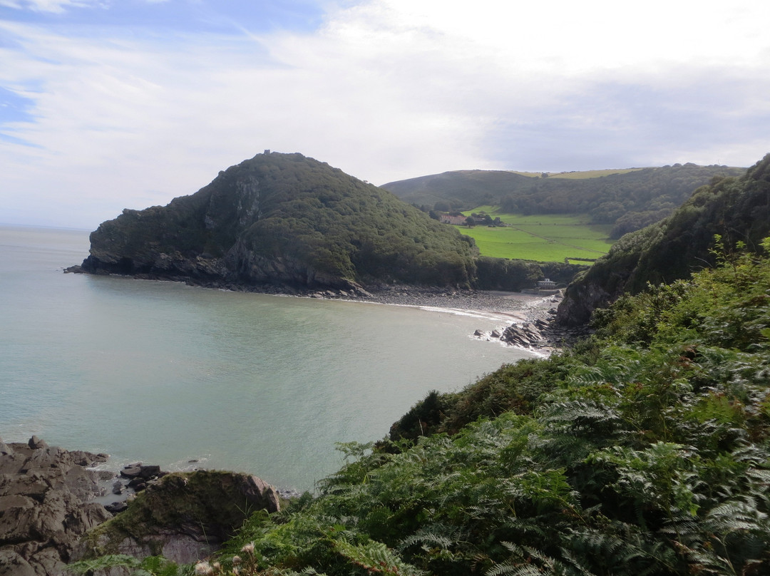 Exmoor National Park Centre, Lynmouth景点图片