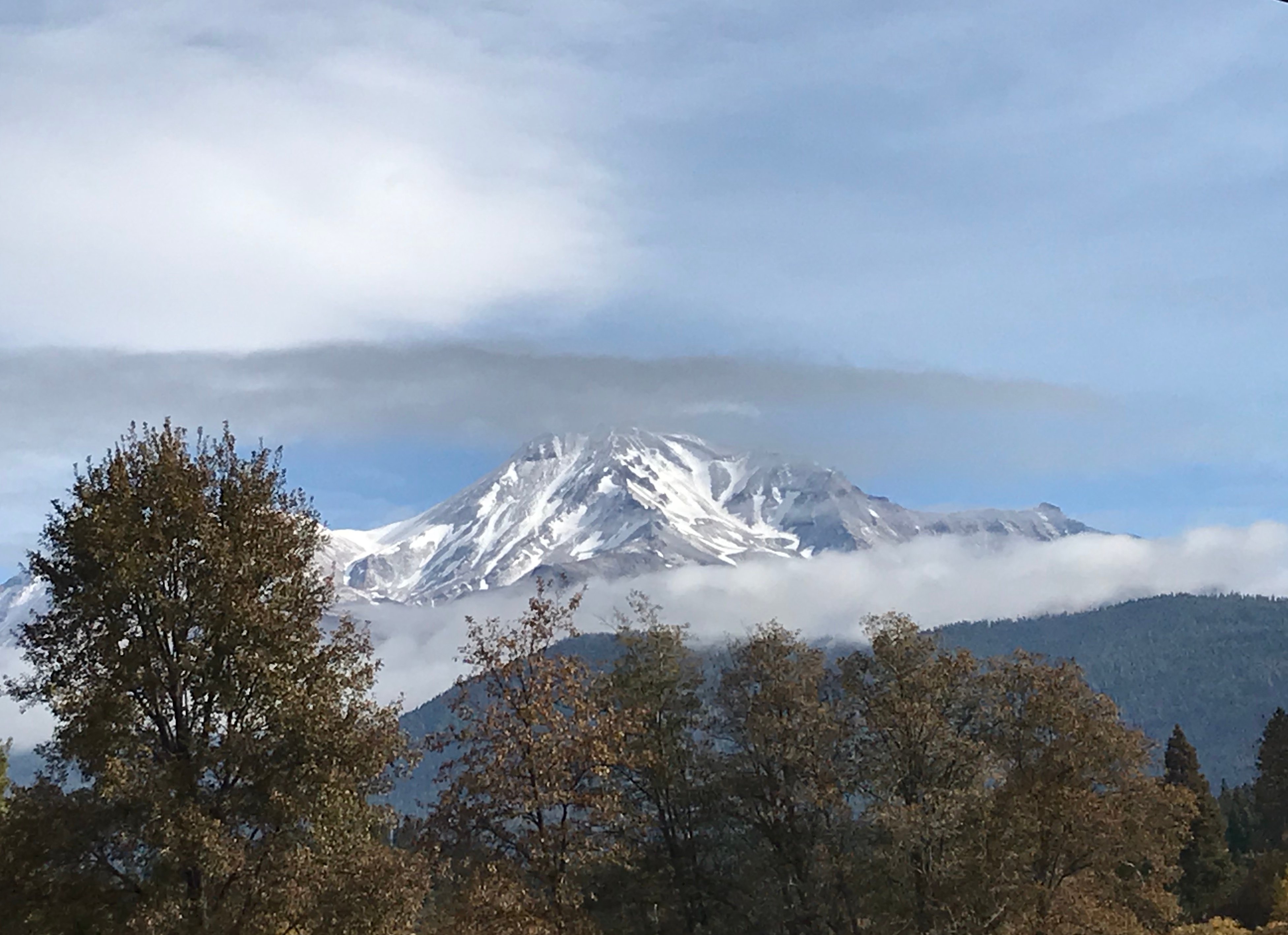 Mount Shasta Ranch Bed & Breakfast-浴室
