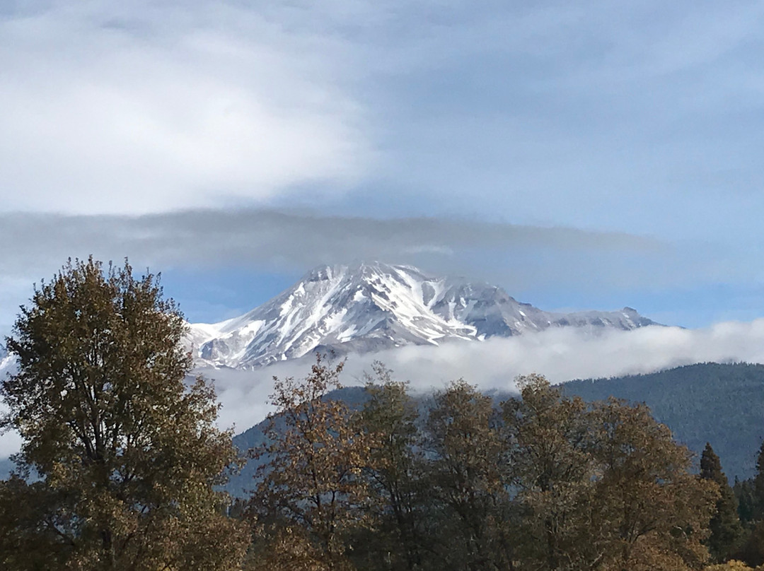 Mount Shasta Ranch Bed & Breakfast主图