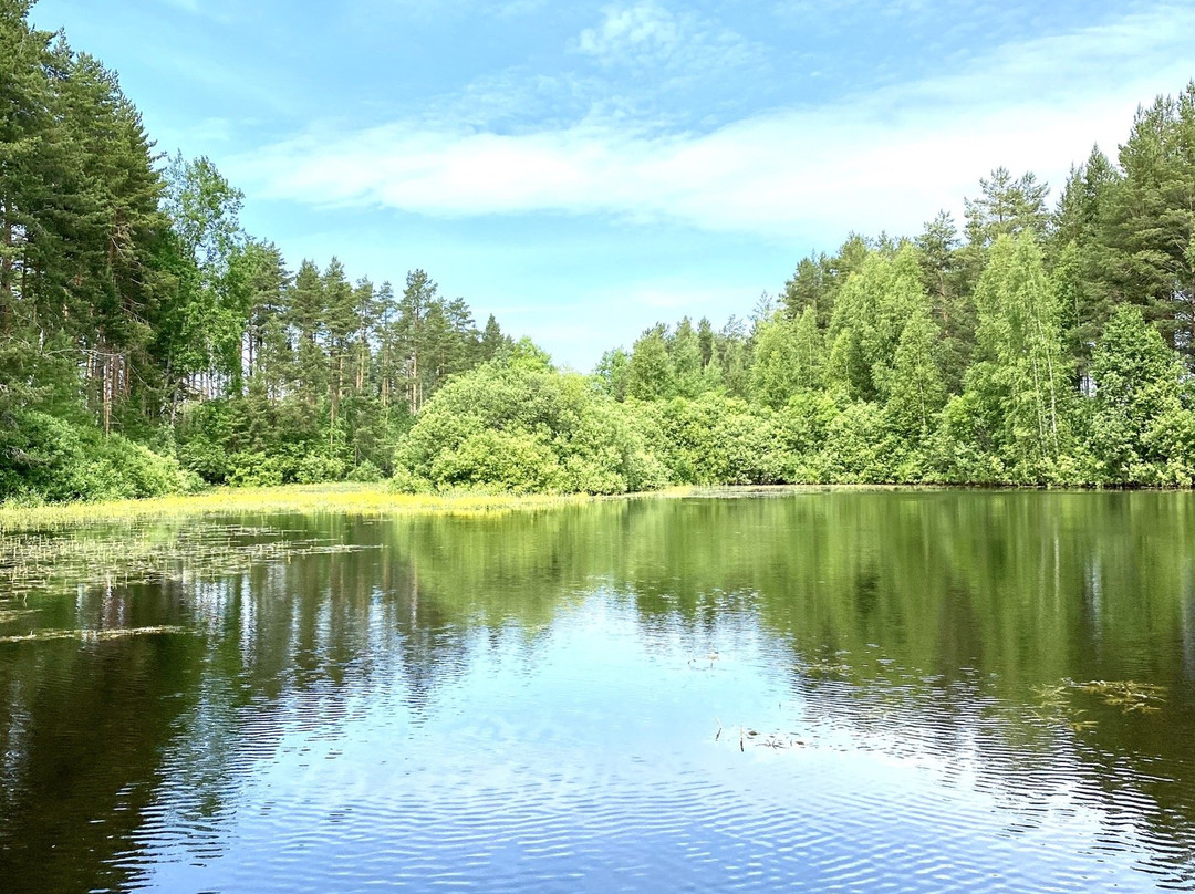 Port Vesyegonsk主图