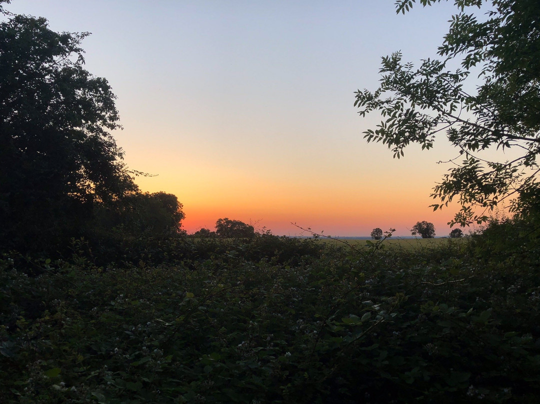 Linslade Wood景点图片