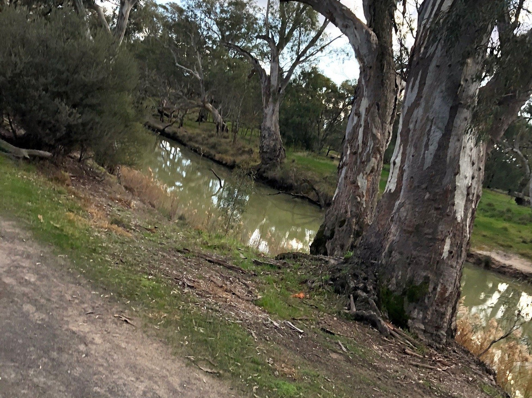 Yanga Track-霍舌姆必去景点