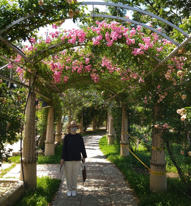 Heidi’s Village景点图片