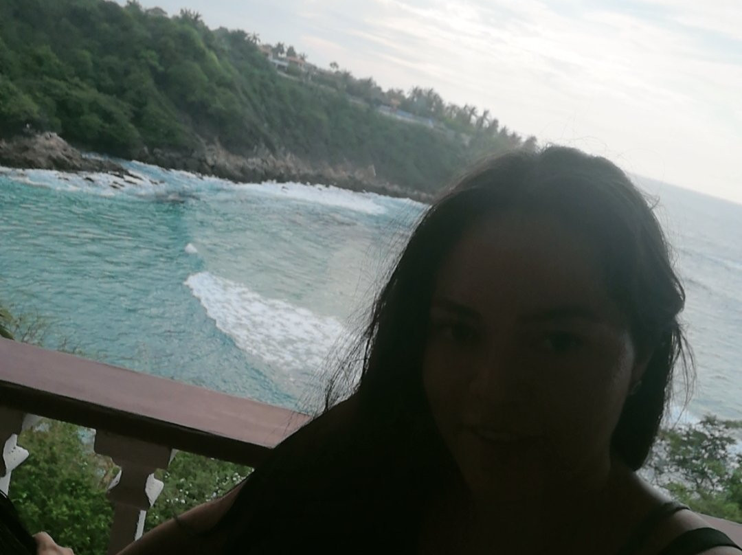 Villas Carrizalillo主图