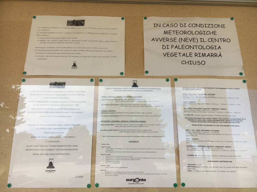 Centro di Paleontologia Vegetale della  Foresta Fossile di Dunarobba-Avigliano Umbro必去景点