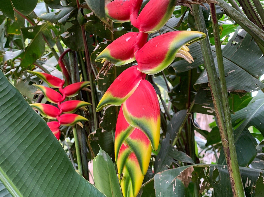 Madre Tierra Resort & Spa主图