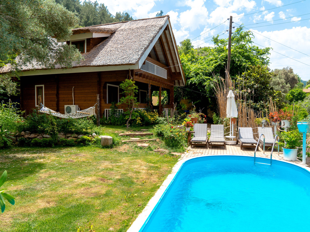 Pure Life Villas