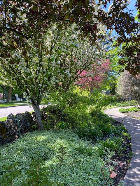 Conrad Mansion-卡利斯佩尔必去景点