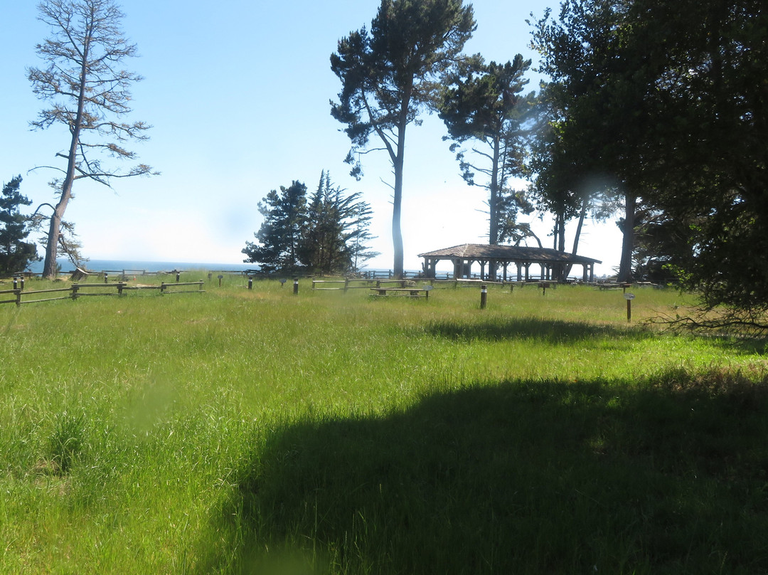 New Brighton State Beach-卡皮托拉必去景点