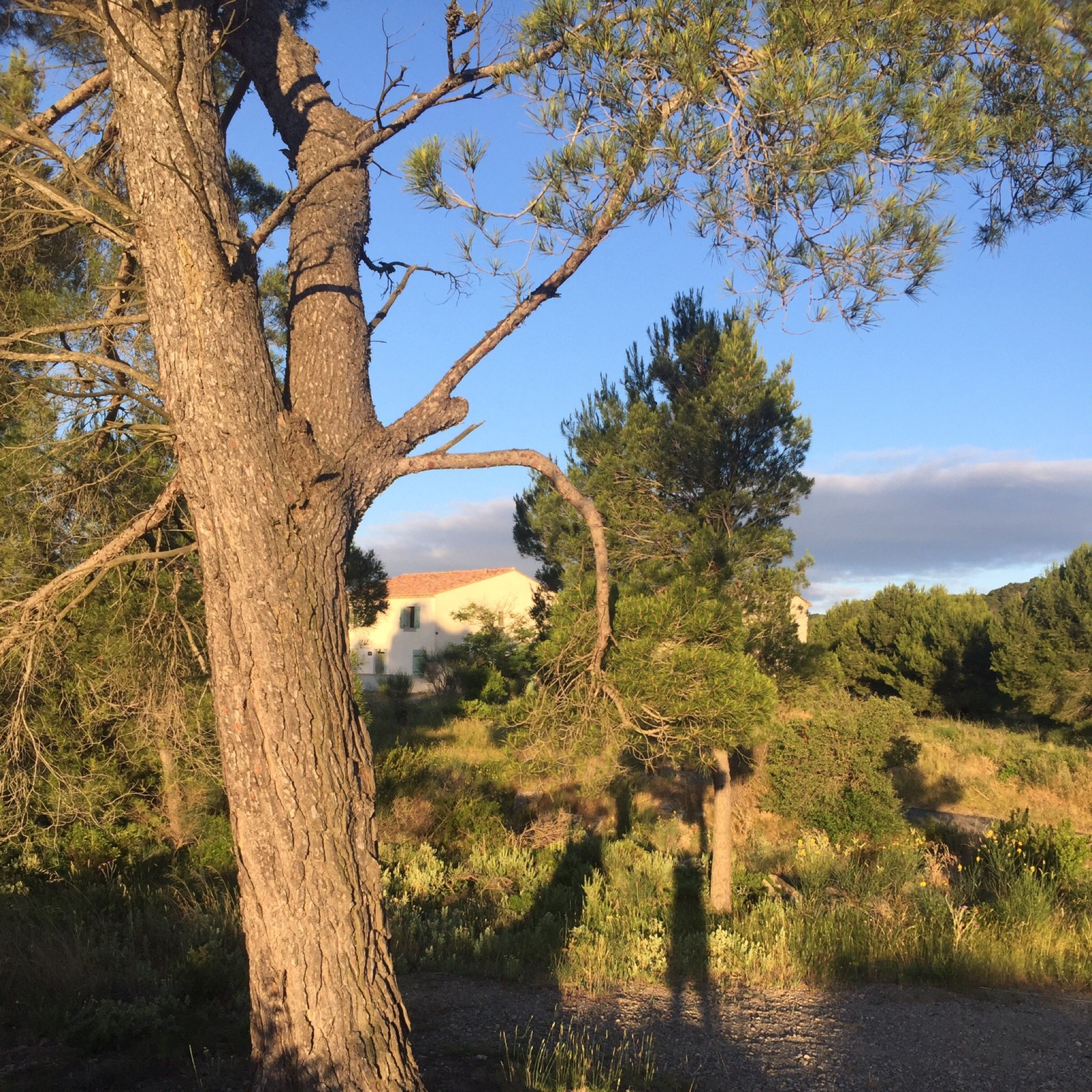 Domaine De Saint Obre-官方