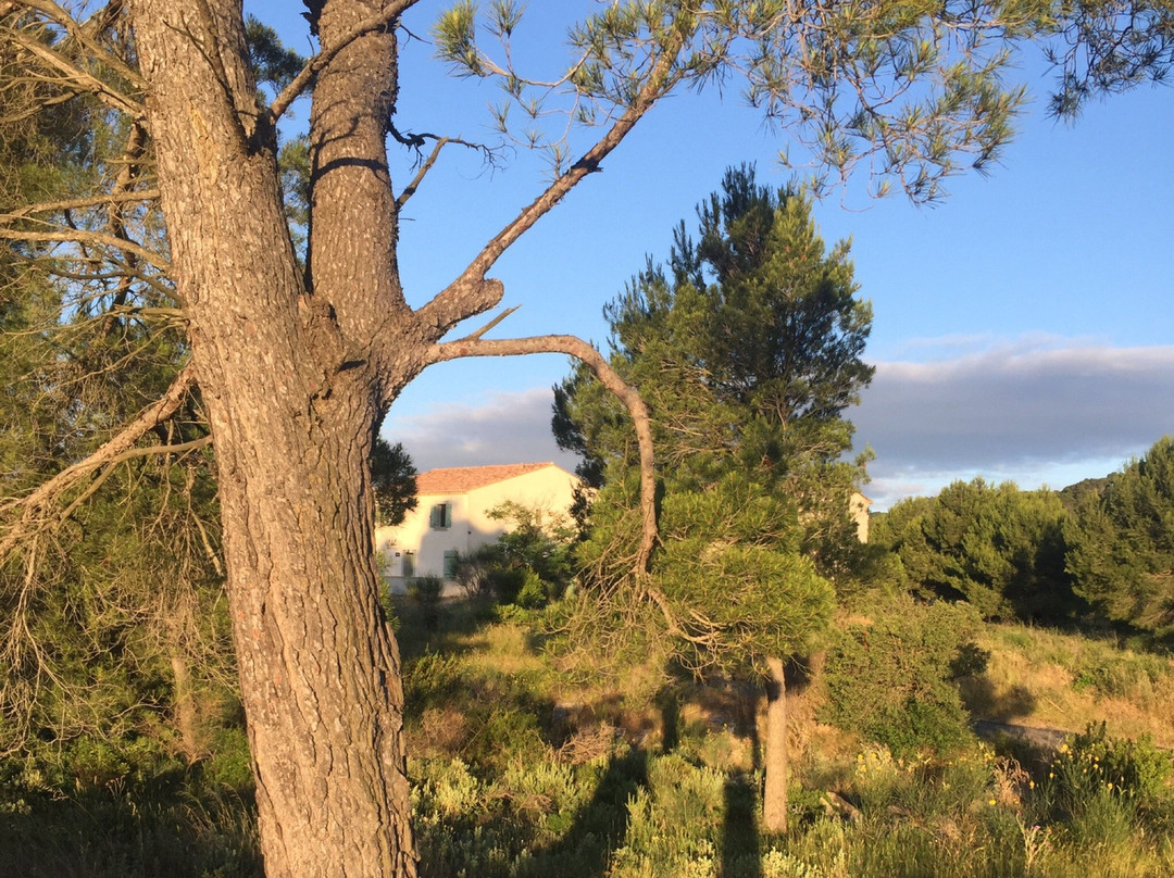 Domaine De Saint Obre主图