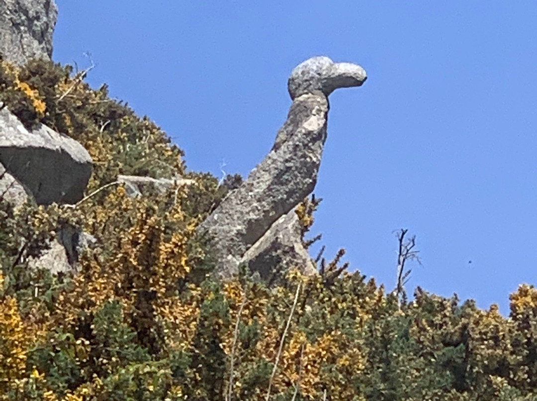 Stone Eagle Statute-Killiney必去景点