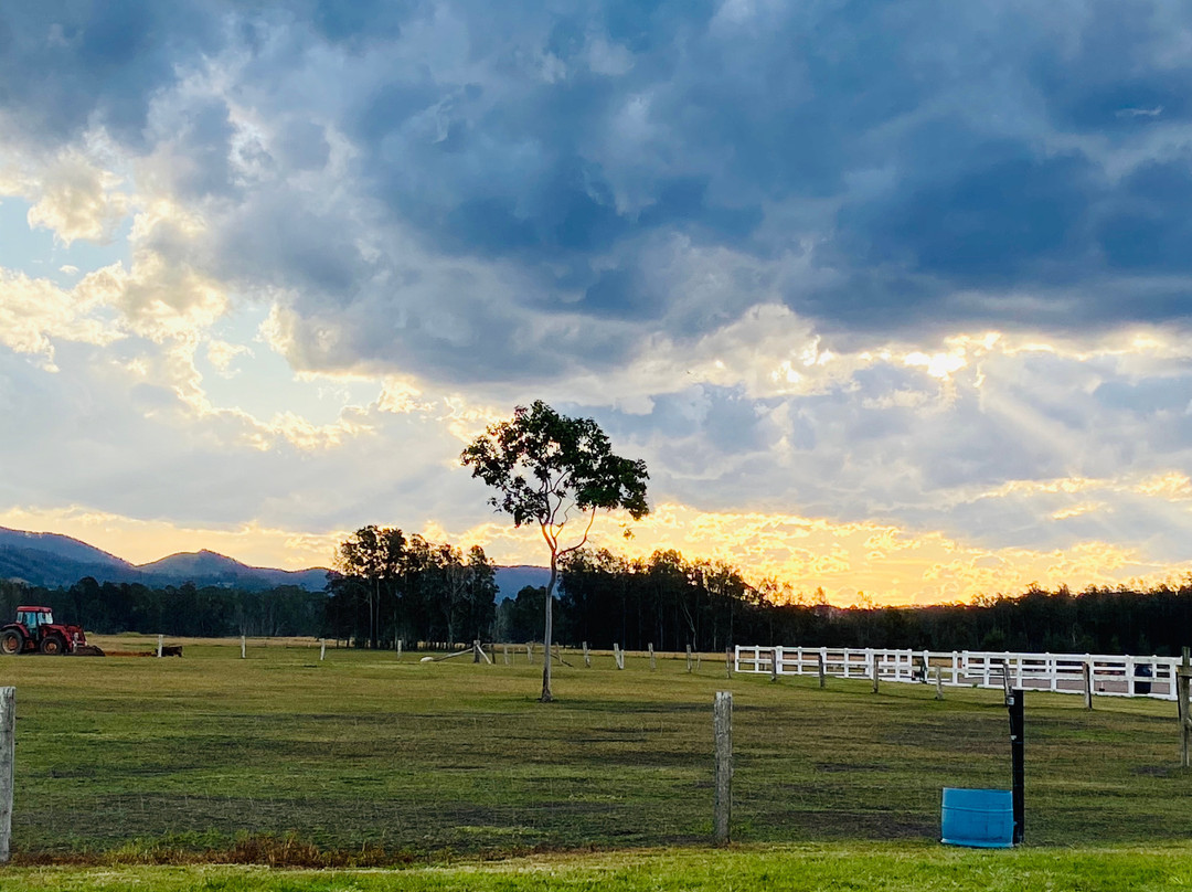 Laurina Estate主图