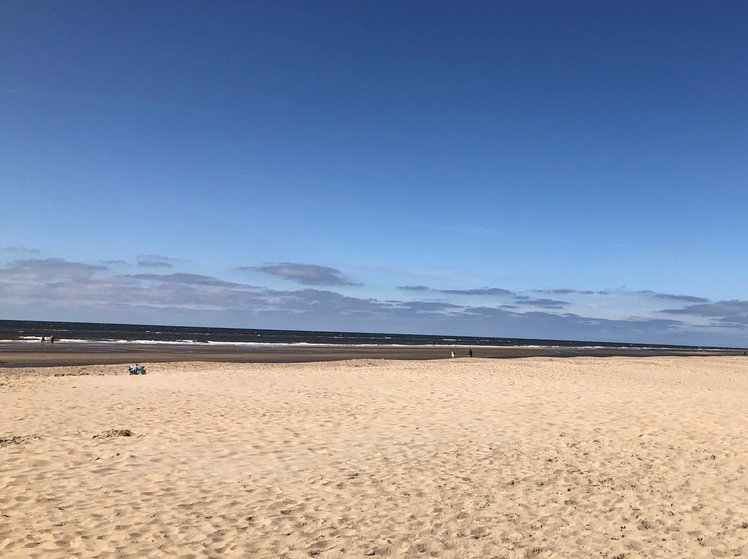 Langevelderslag Beach-诺德韦克必去景点