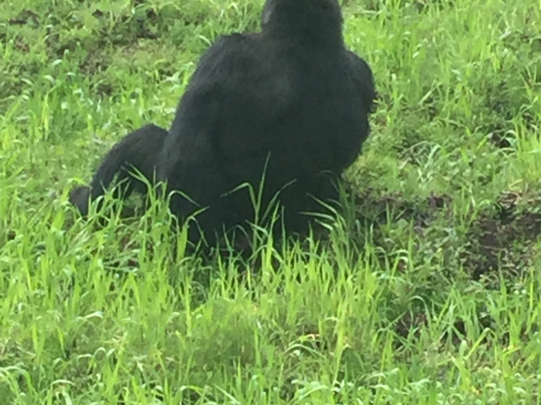 Akagera National Park-Eastern Province必去景点