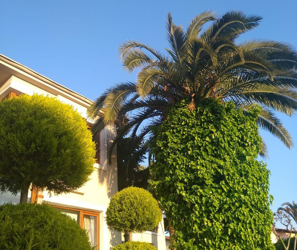 Parla Viens Suites主图