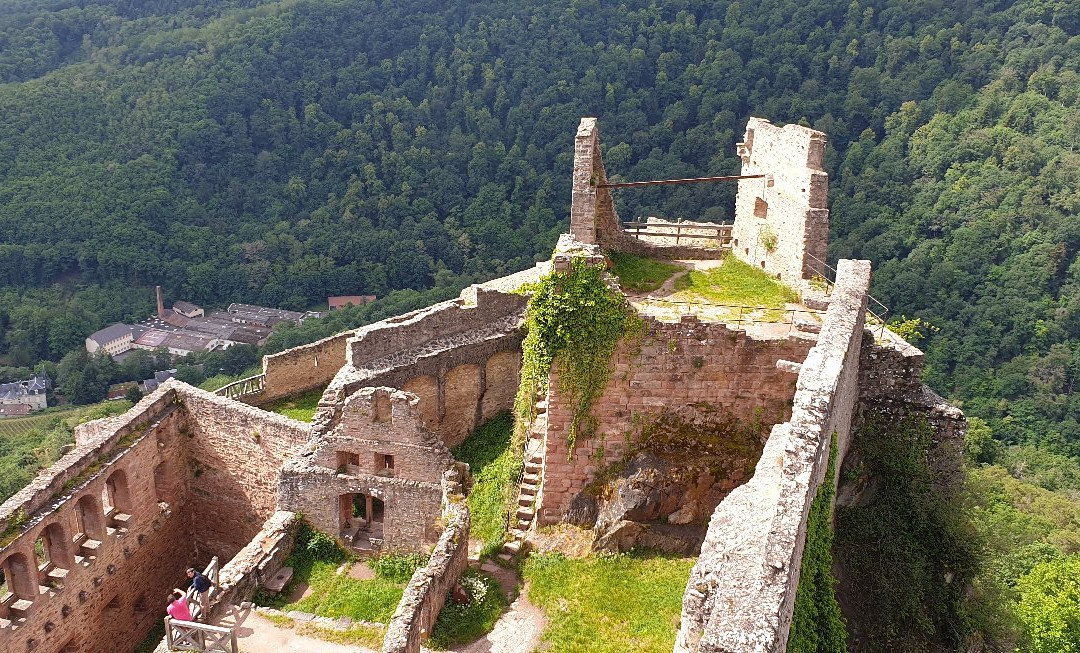 Château de Saint-Ulrich景点图片