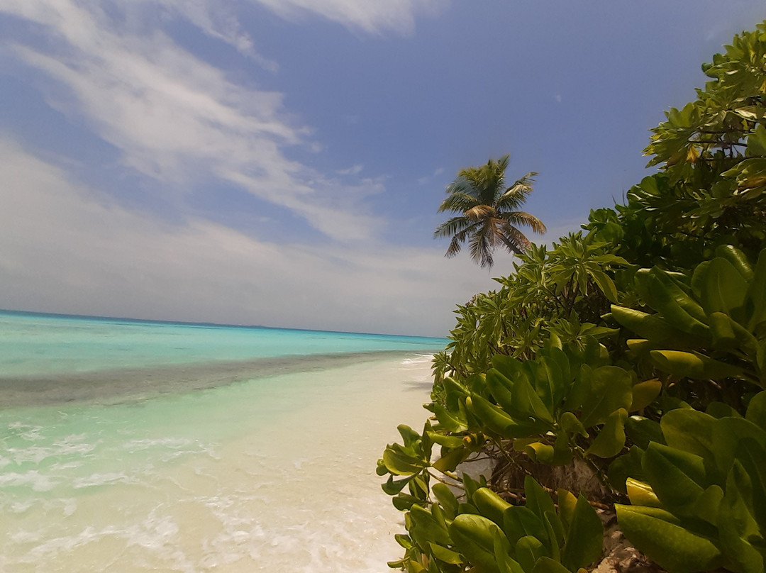 Dhiguveli Maldives主图