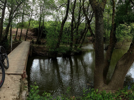 Turismo de Los Barrios-Los Barrios必去景点