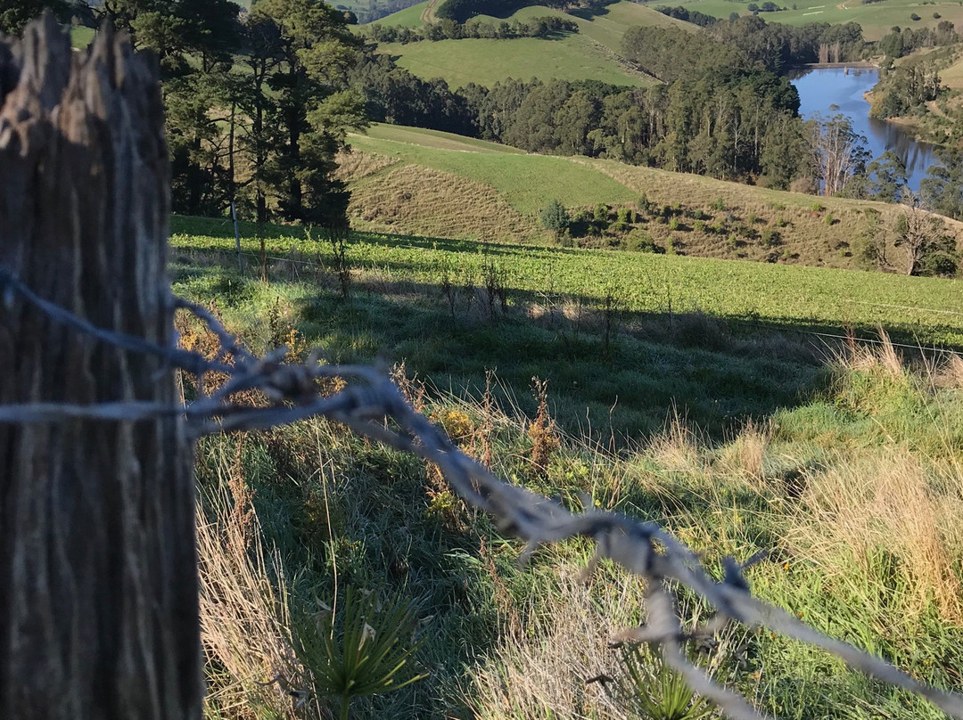 Lancey's Lookout-Arawata必去景点