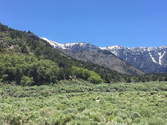 Spring Mountains Visitor Center景点图片